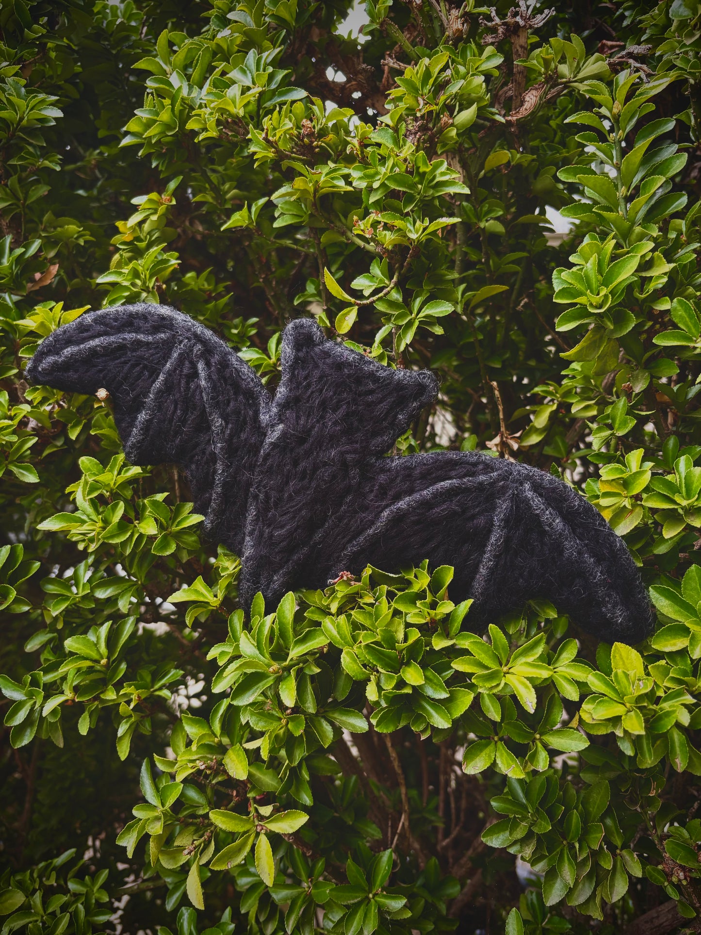 Bat