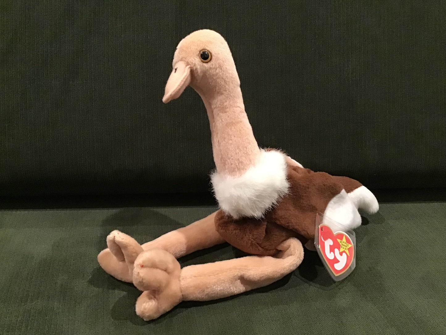 Beanie Baby - Stretch