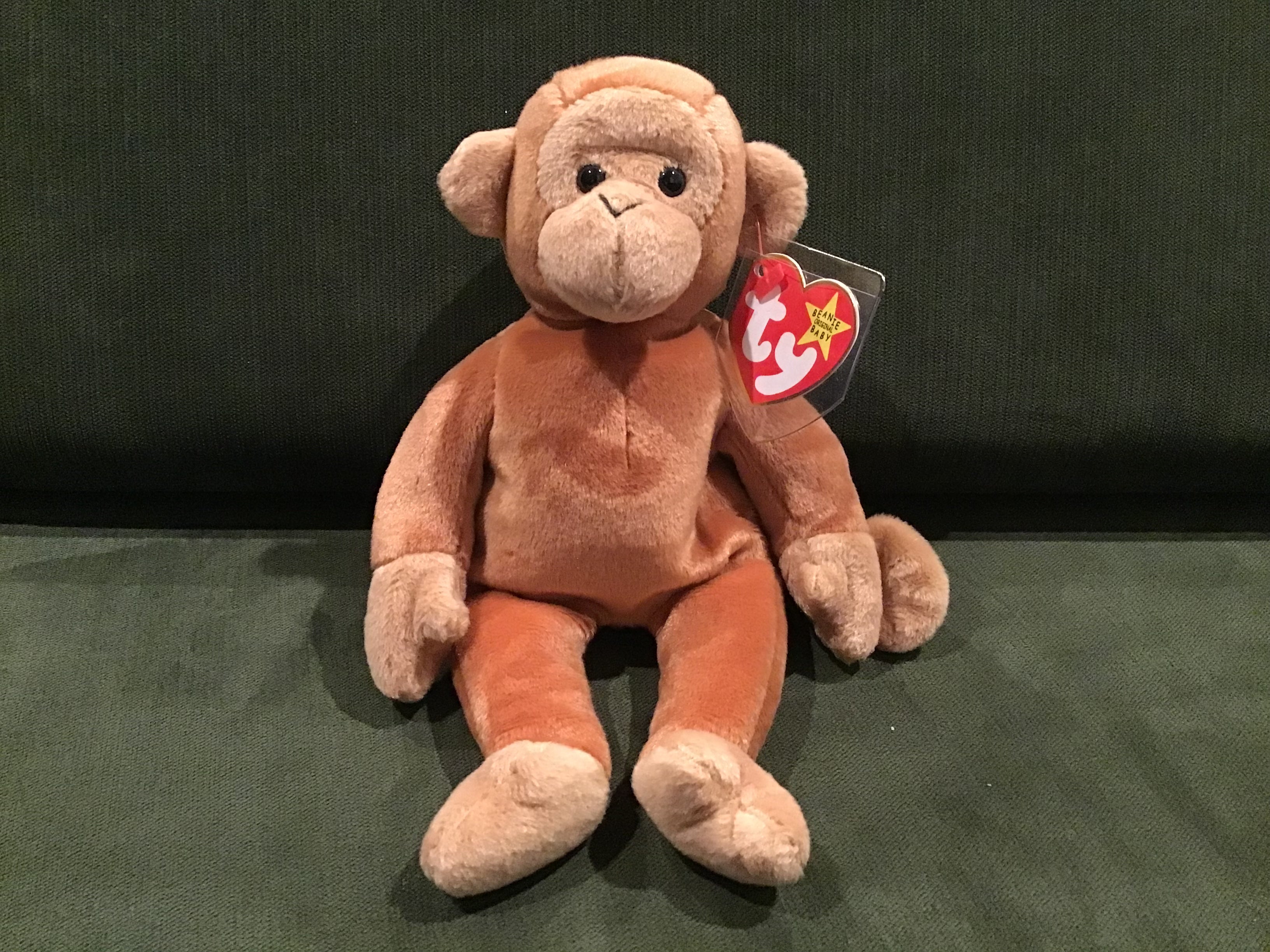 Bongo best sale beanie baby