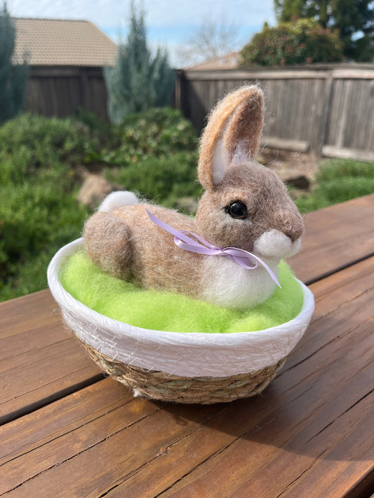 Basket Bunny